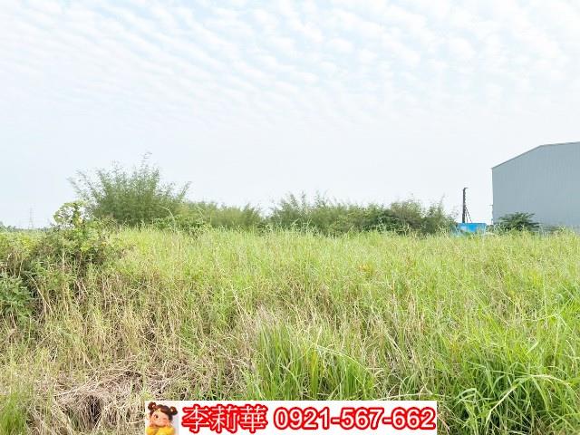 關廟農地-5