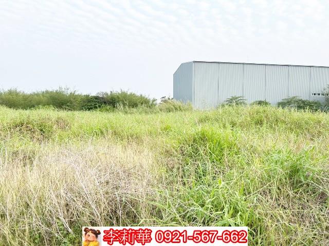 關廟農地-6