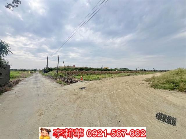 麻豆農地-2