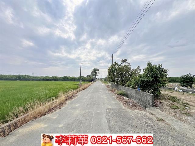 麻豆農地-3