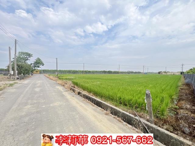 麻豆農地-5