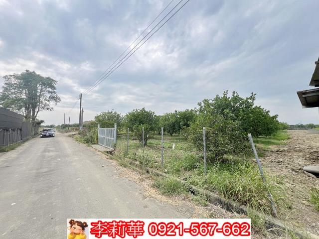 麻豆農地-7