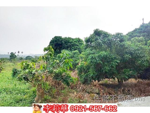 台南農地-9