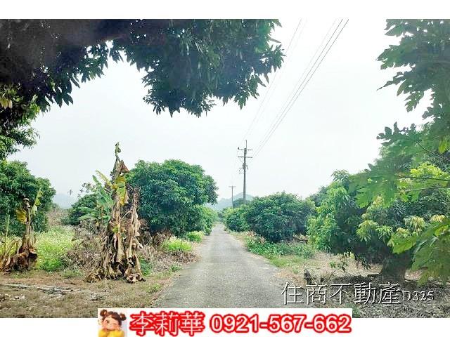 台南農地-4