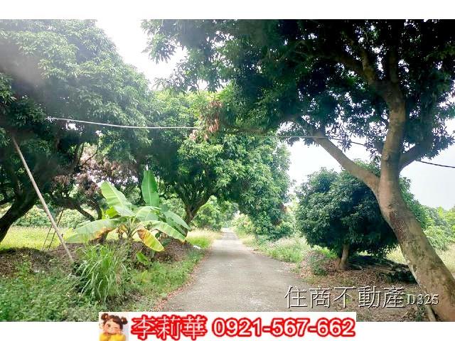 台南農地-5
