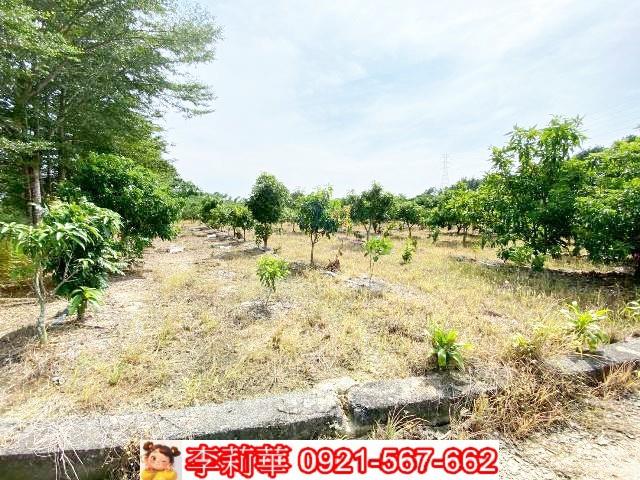 官田農地-11