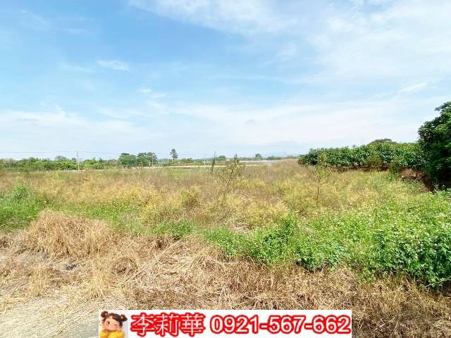 官田農地-12
