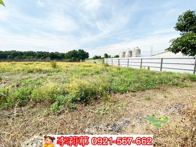 官田農地-13