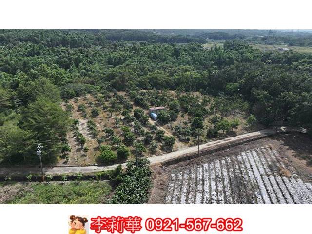 官田農地-1