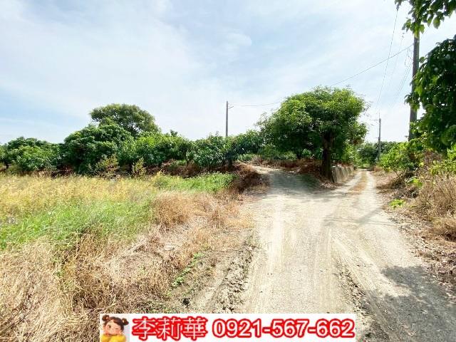 官田農地-4