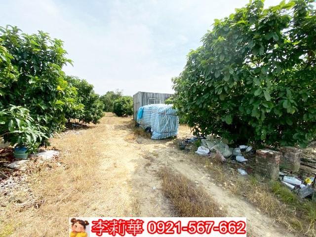 官田農地-7