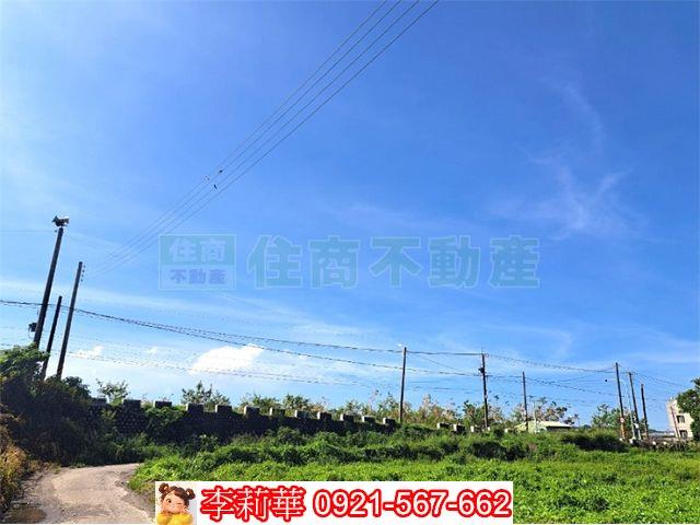 柳營農地-5