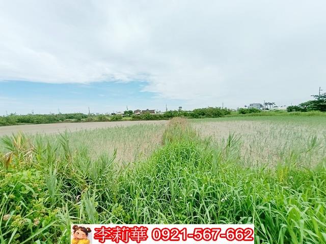 台南農地-9