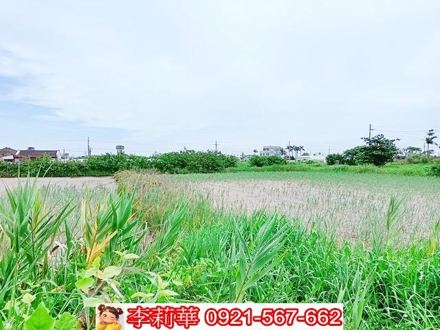 台南農地-10