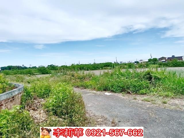 台南農地-6