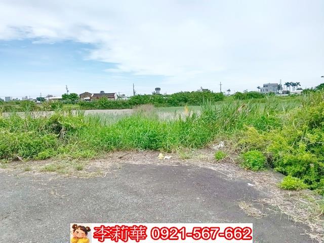 台南農地-7