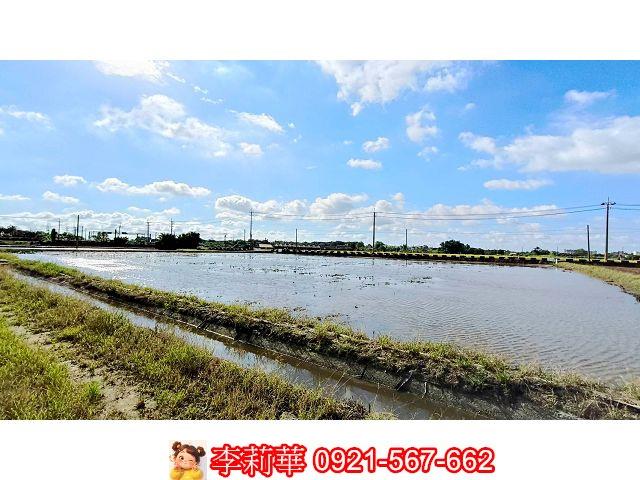 台南官田農地-10