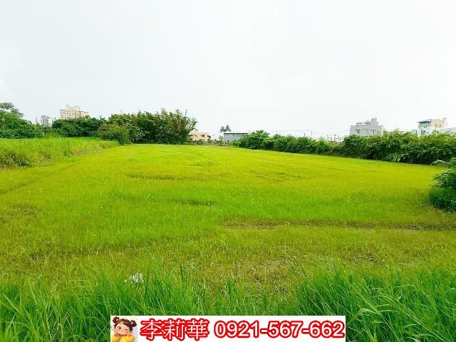 歸仁農地-10