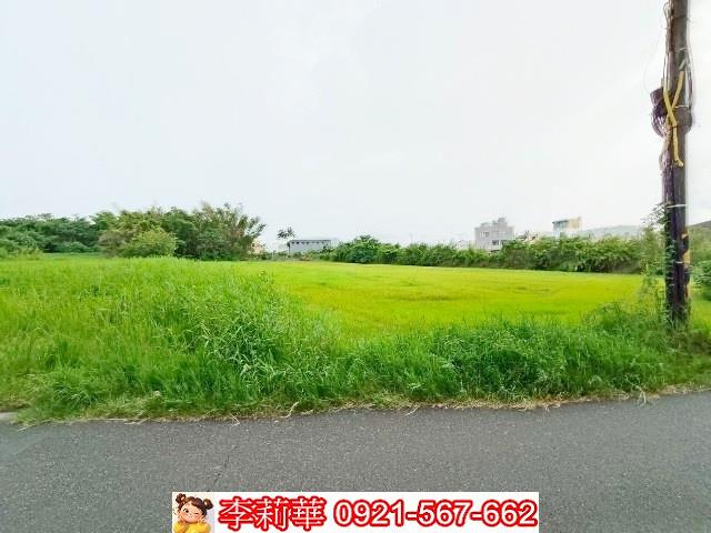 歸仁農地-5