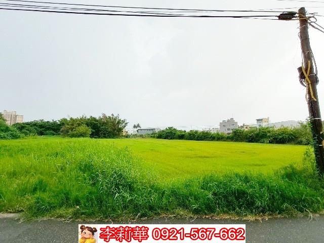 歸仁農地-6