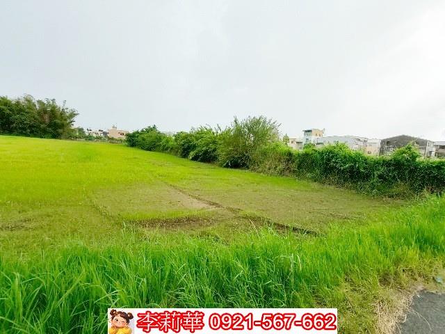 歸仁農地-7