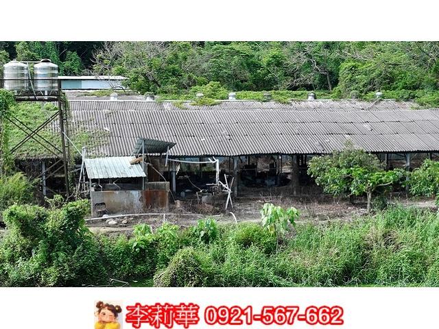 台南農地-2