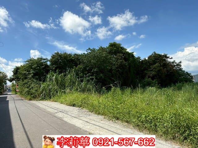 台南農地-3