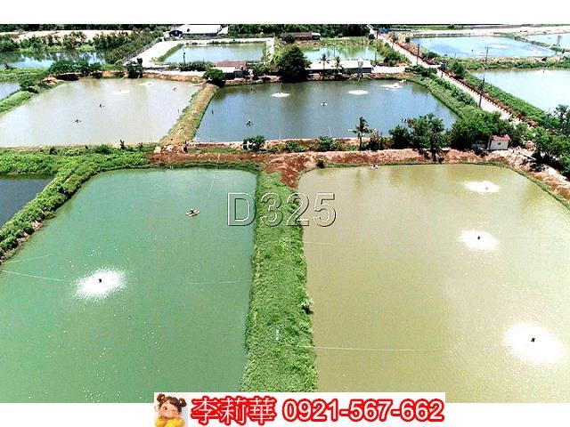 台南鹽水農地-9