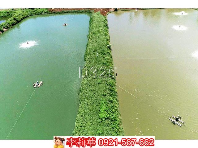 台南鹽水農地-10