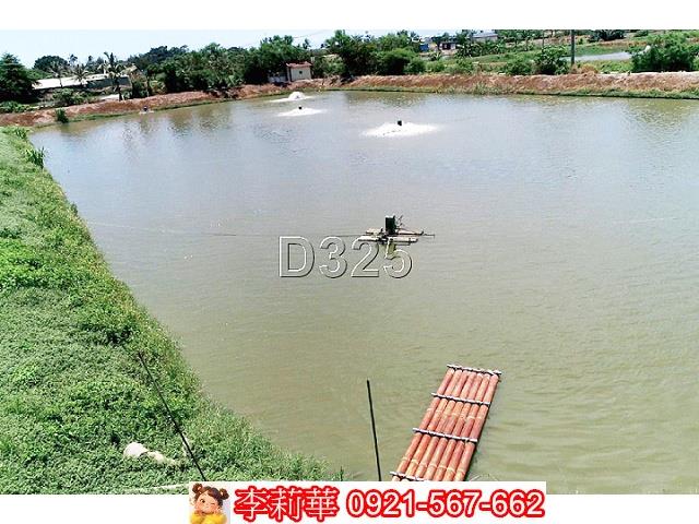 台南鹽水農地-12