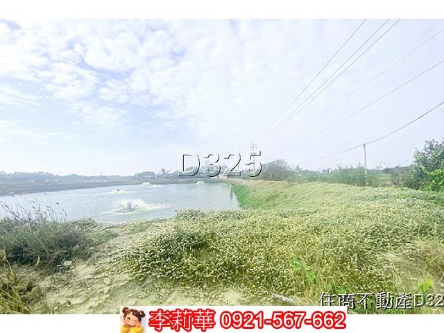 台南鹽水農地-6