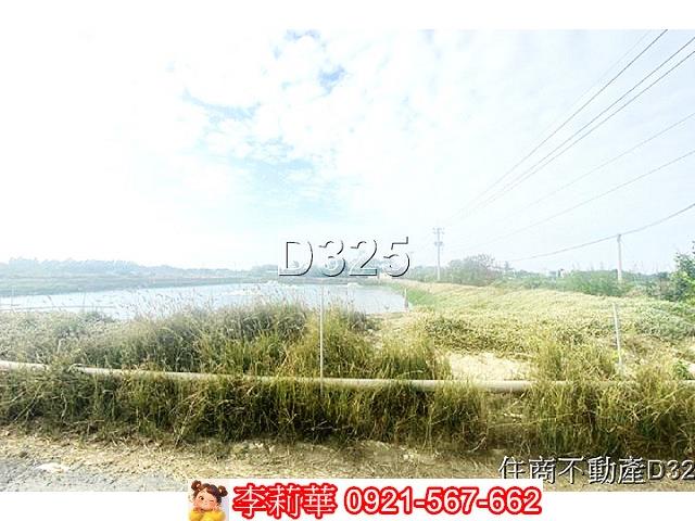 台南鹽水農地-7