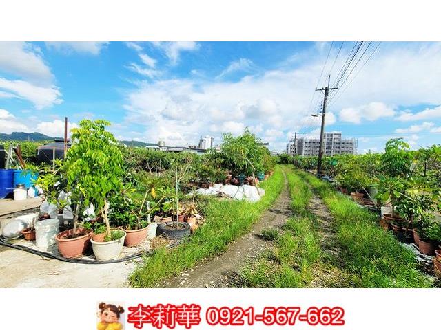 高雄燕巢農地-9