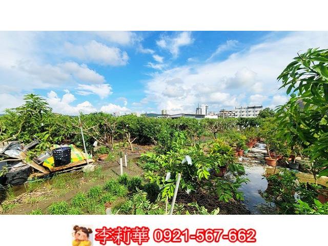 高雄燕巢農地-7