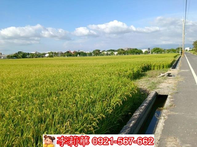 六甲農地-6