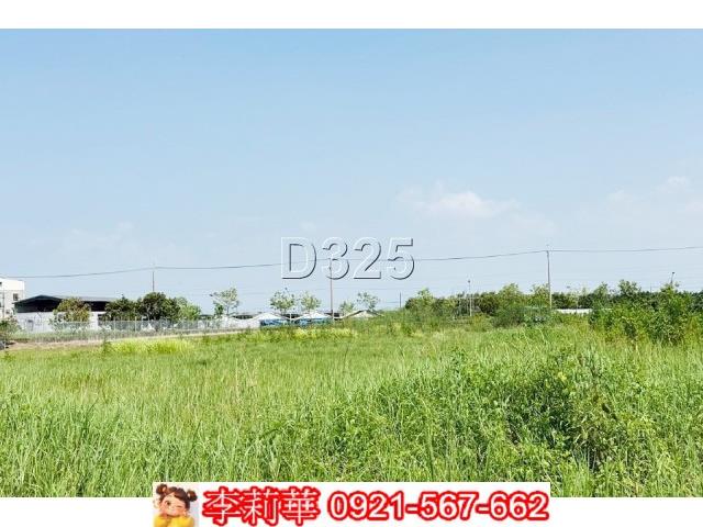 麻豆農地-9
