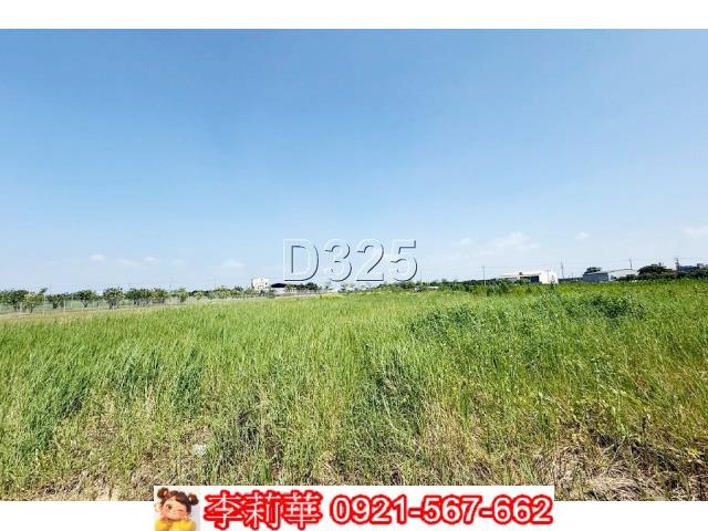 麻豆農地-10