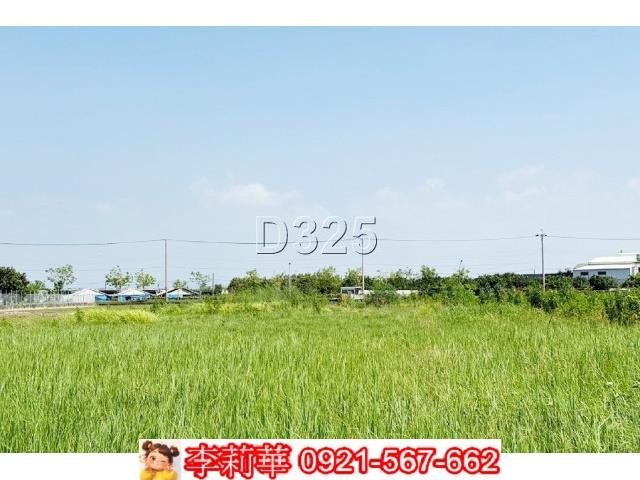 麻豆農地-11