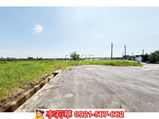 麻豆農地-3