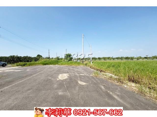 麻豆農地-5