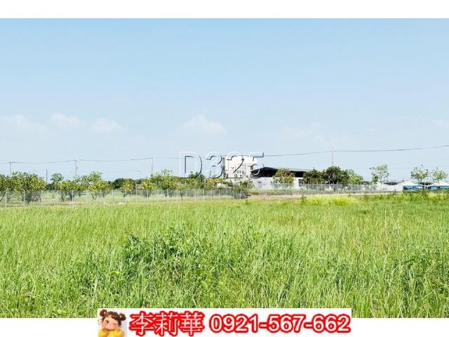麻豆農地-7