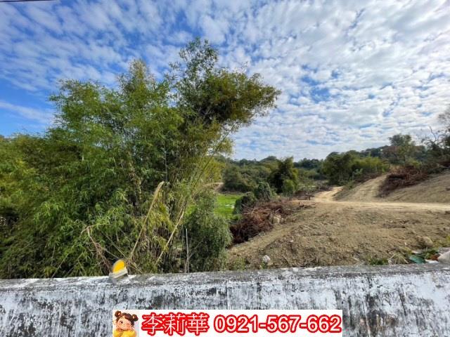 玉井農地-6