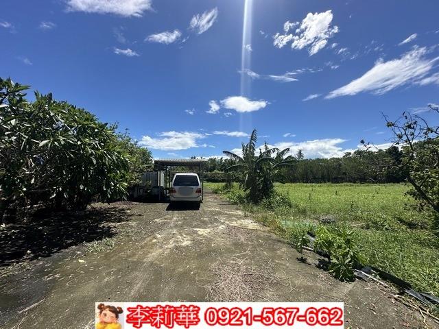 旗山農地-2