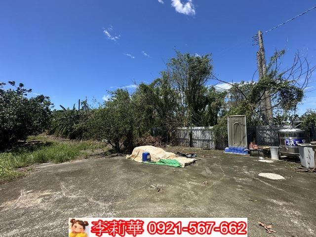 旗山農地-5