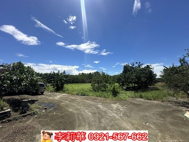 旗山農地-8