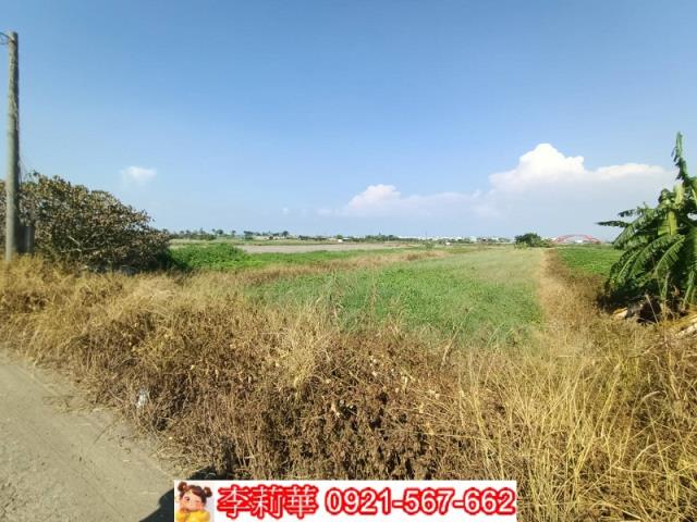 將軍農地-14