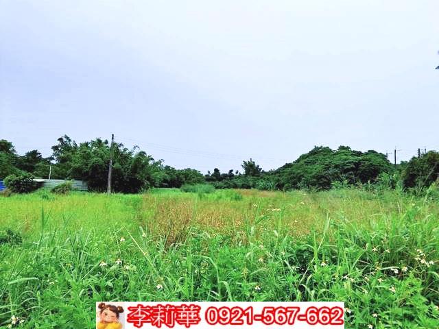 歸仁農地-4