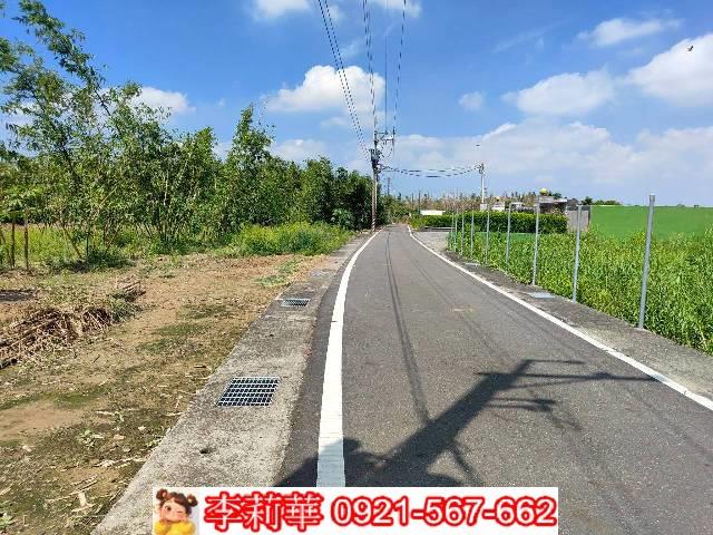 歸仁農地-8