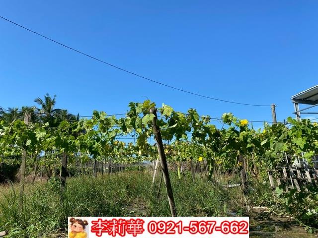 南區農地-8