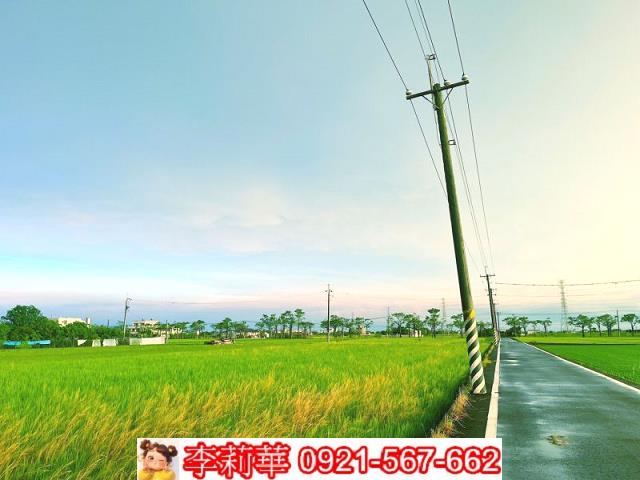 六甲農地-4